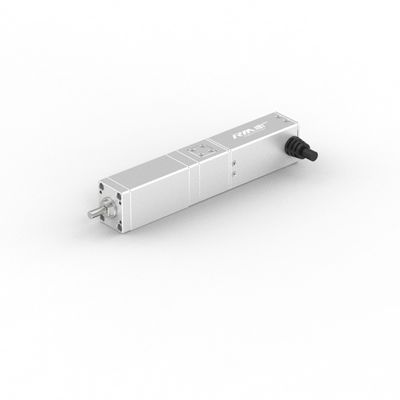 RobustMotion RM-SLA Series High Precise Straight Electric Linear Actuator With Servo Motor,50/100mm Stroke, IP40