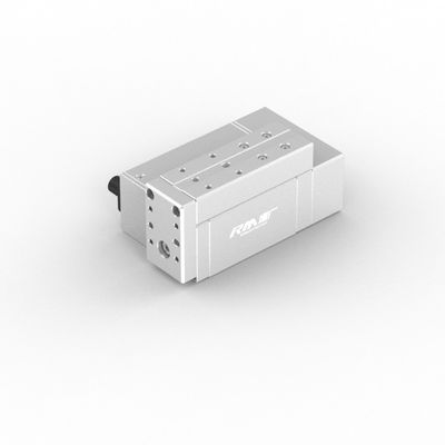 RM-RPLA Fast Response Speed Industrial Linear Actuator with Optional Stroke