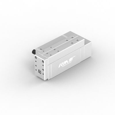 RobustMotion RM-RPLA Electric Industrial Linear Actuator with Integrated Controller, Maximum Force Output  300N