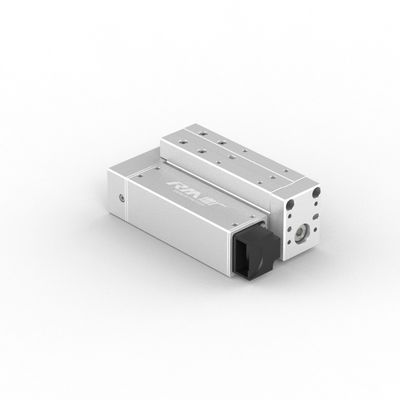RobustMotion Single Axis Electric Linear For Long-stroke, High-speed, and High-precision RM-RPLA